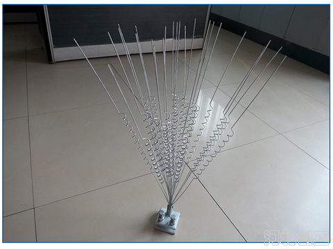 ��B�̷��B��